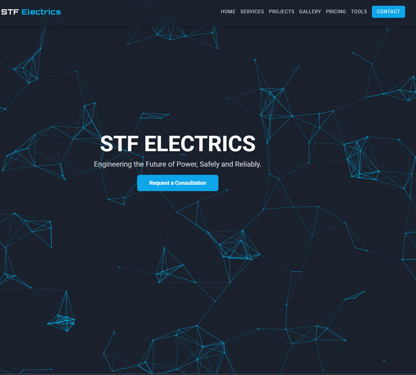 STF Electrics Website Screenshot